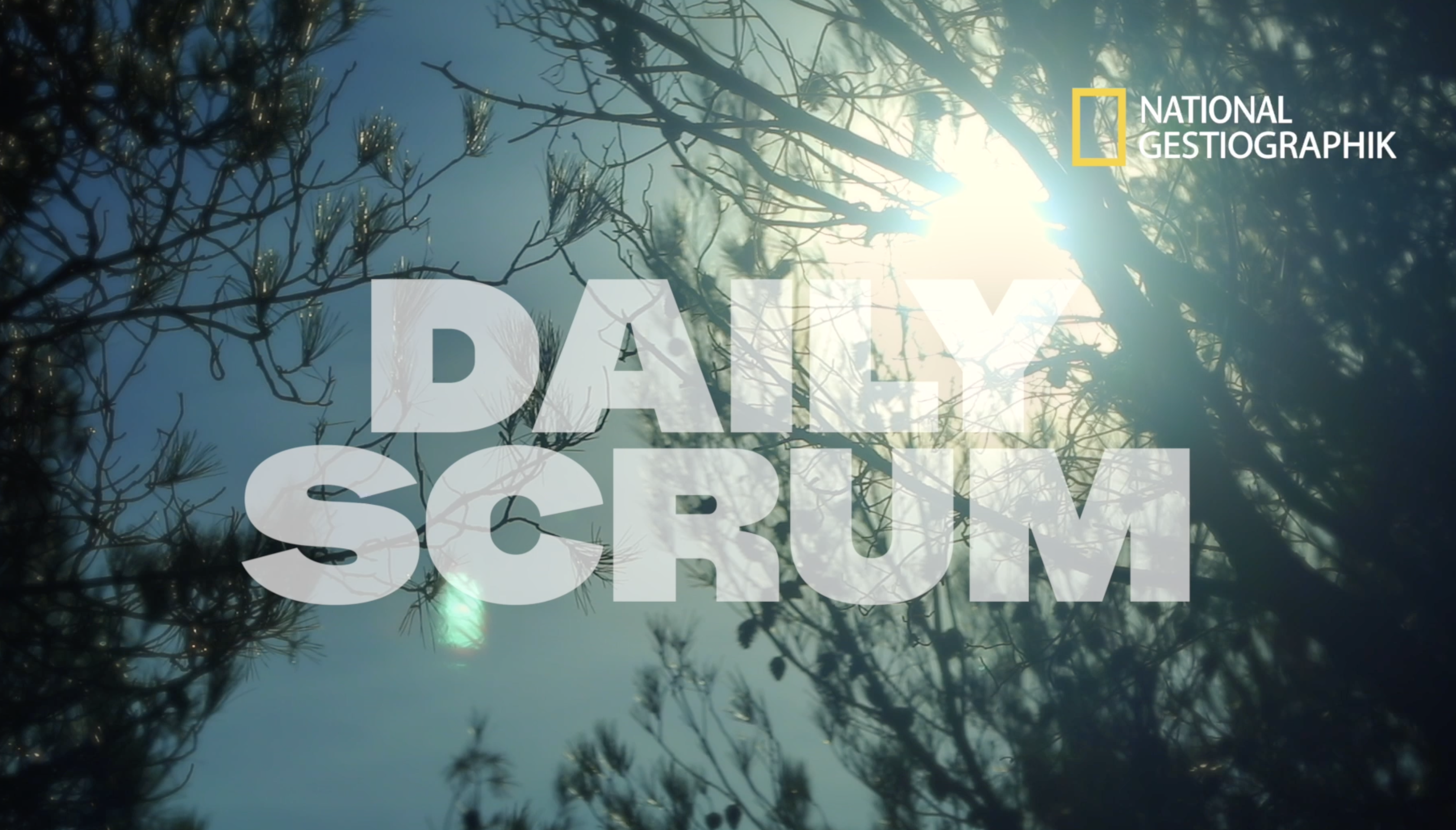 Capsule vidéo SCRUM
